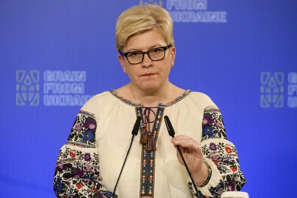 British newspaper: Lithuania is ready to send troops to Ukraine 0